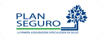 PLAN SEGURO